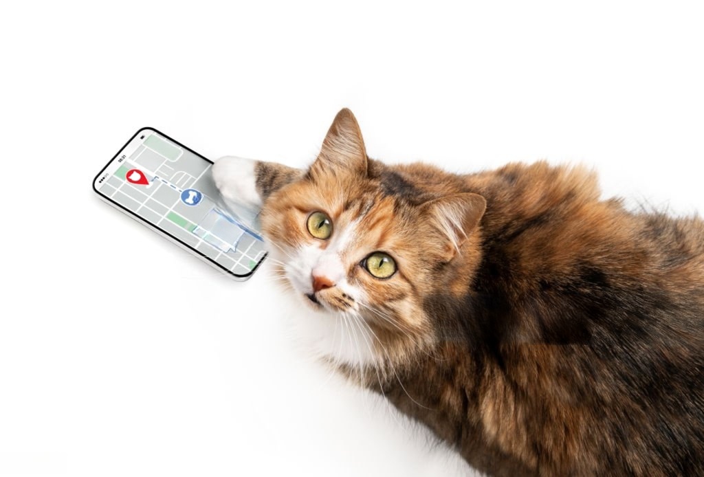 Custom mobile app development - iOS and Android applications by Prezire